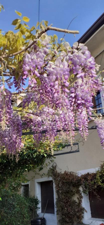 Residenza La Dimora Imperfetta Hotel Salionze Luaran gambar